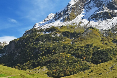 Vorarlberg